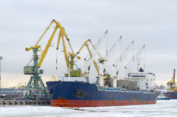 river is covered with ice.