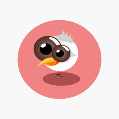 vector cartoon of bird