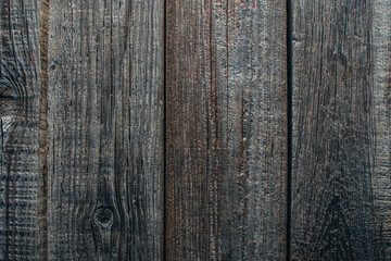 Fototapeta premium the texture of the wood
