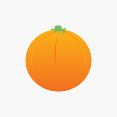 orange fruit vector illustration