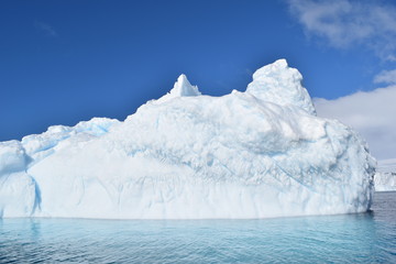 antartica