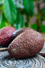 Healthy vegetarian food – green ripe avocado, new harvest, with leaves on stone plates with ornament