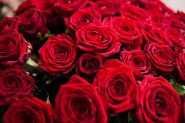 Big bouquet of roses