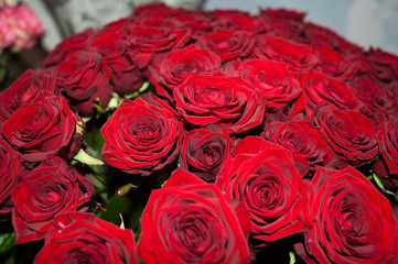 Big bouquet of roses