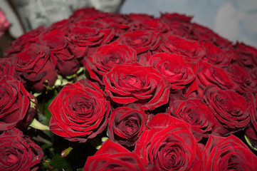 Big bouquet of roses