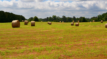 Hay Bales