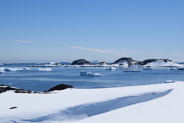 antartica