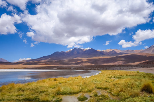 Altiplano laguna in sud Lipez reserva, Bolivia