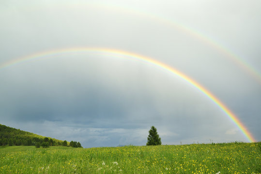 Rainbow over flower meadow, Monte Bondone, Garda Mountains, Trentino, Italy