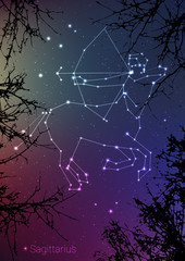 Sagittarius zodiac constellations sign with forest landscape silhouette on beautiful starry sky with galaxy and space behind. Sagittarius horoscope symbol constellation on deep cosmos background.