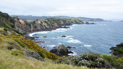 Fototapeta na wymiar Coastline panorama of Bay of Island in New Zealand