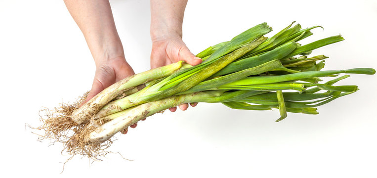 Calcots