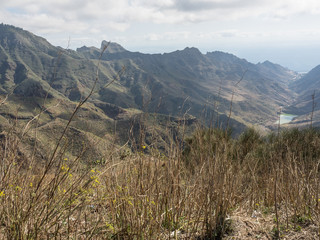 die Kanareninsel Teneriffa