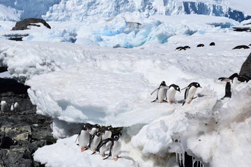 antartica © alvaroruiz.cl