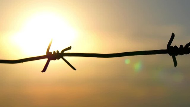 Barbed wire close-up of a prison or military fence at sunset close-up