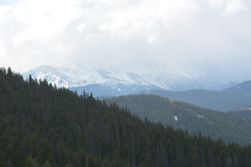 Forested area below snowy peaks