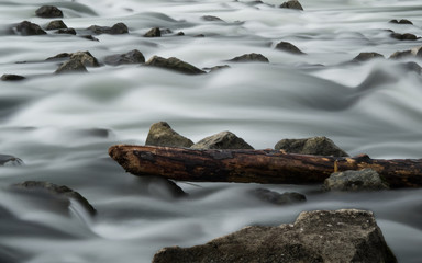stem of a tree hanging between rocks in a river