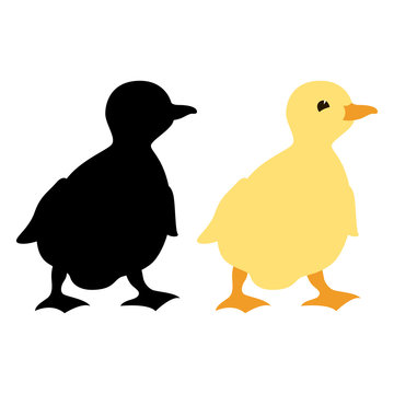 duckling vector illustration profile side flat style black