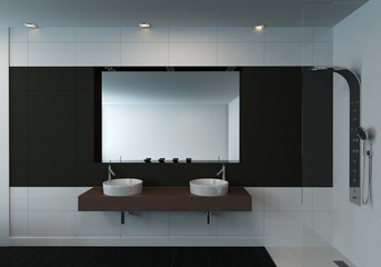 Modern minimalist black and white bathroom