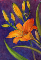 Flowers, buds and leaves of a yellow lily. Watercolor. Floral motifs.  Use printed materials, signs, items, websites, maps, posters, postcards, packaging.