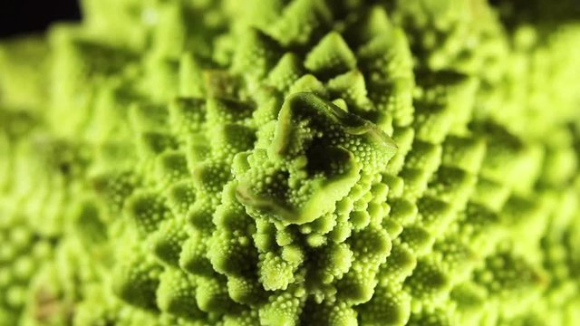 Romanesco broccoli or Roman cauliflower, close up shot, texture detail of the healthy vegetable. Macro.