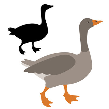 goose vector illustration profile side flat style black