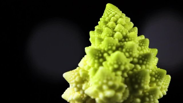 Romanesco broccoli or Roman cauliflower, close up shot, texture detail of the healthy vegetable. Macro.