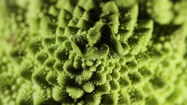Romanesco broccoli or Roman cauliflower, close up shot, texture detail of the healthy vegetable. Macro.