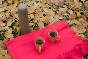  Cups with tea and thermos during a picnic in autumn