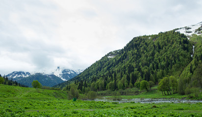 Fototapeta na wymiar mountains and forests of Abkhazia
