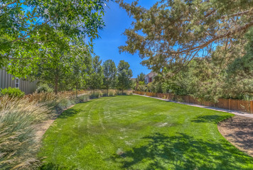 Obraz premium Grassy area in park with pathways.