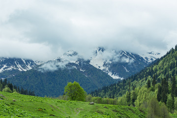 mountains and forests of Abkhazia