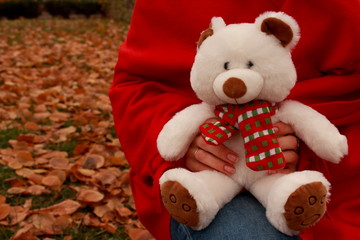 Hands in red carpet holding white cute teddy bear with scarf in autumn park with fallen leaves. Holiday fluffy toy gift.