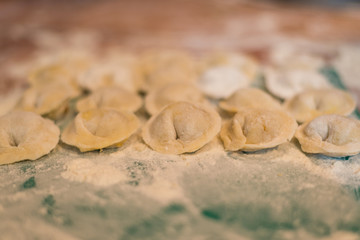 Female hands make home dumplings, close-up.