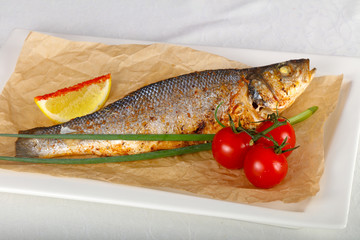Seabass fish