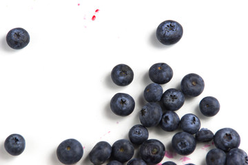 no photoshoped 100% natural eco blueberries isolated on white