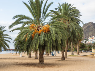 Teneriffa