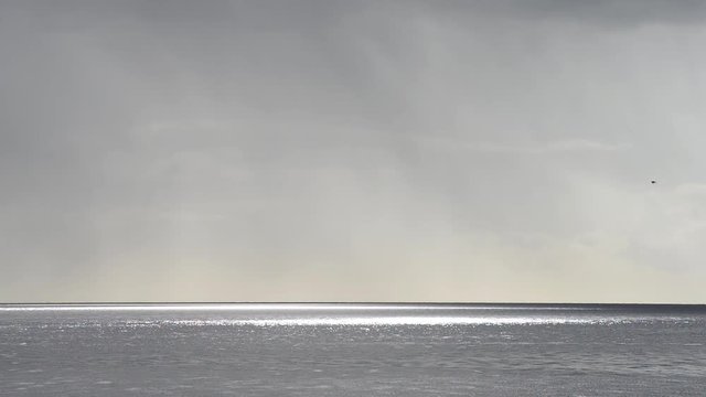volo di gabbiani sul mare dopo la tempesta
