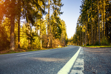 highway into Silent Forest in spring with beautiful bright sun rays