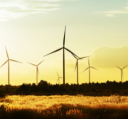 Eco power, wind turbines at sunset