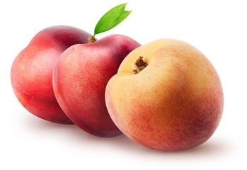 Two whole nectarine fruits and peach with leaves isolated on white background with clipping path