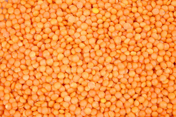 Macro of red lentils.