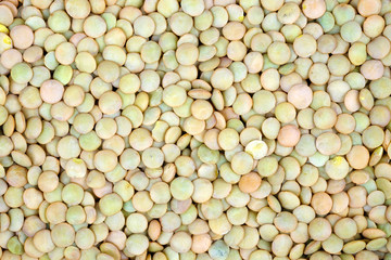 Dry seeds of green lentils.