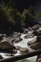 Rushing Waters on Yosemite Falls Hike with Rocks and Trees