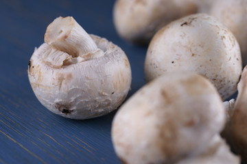 Mushrooms mushrooms on a wooden background