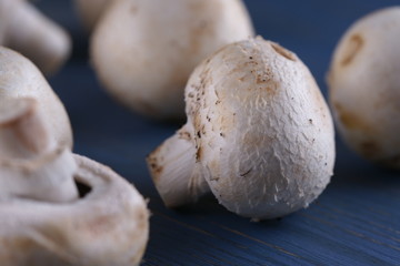 Mushrooms mushrooms on a wooden background