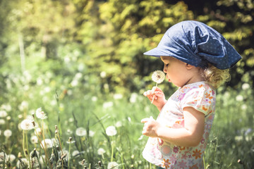 Cute baby girl blowing dandelion in summer park among tall grass  in summer sunny day with sunlight