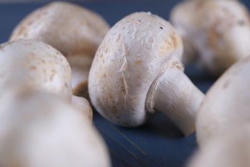 Mushrooms mushrooms on a wooden background