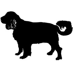 labrador retriver silhouette vector