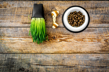 Toys for dog near dry food in bowl and grass in pot on wooden background top view copyspace